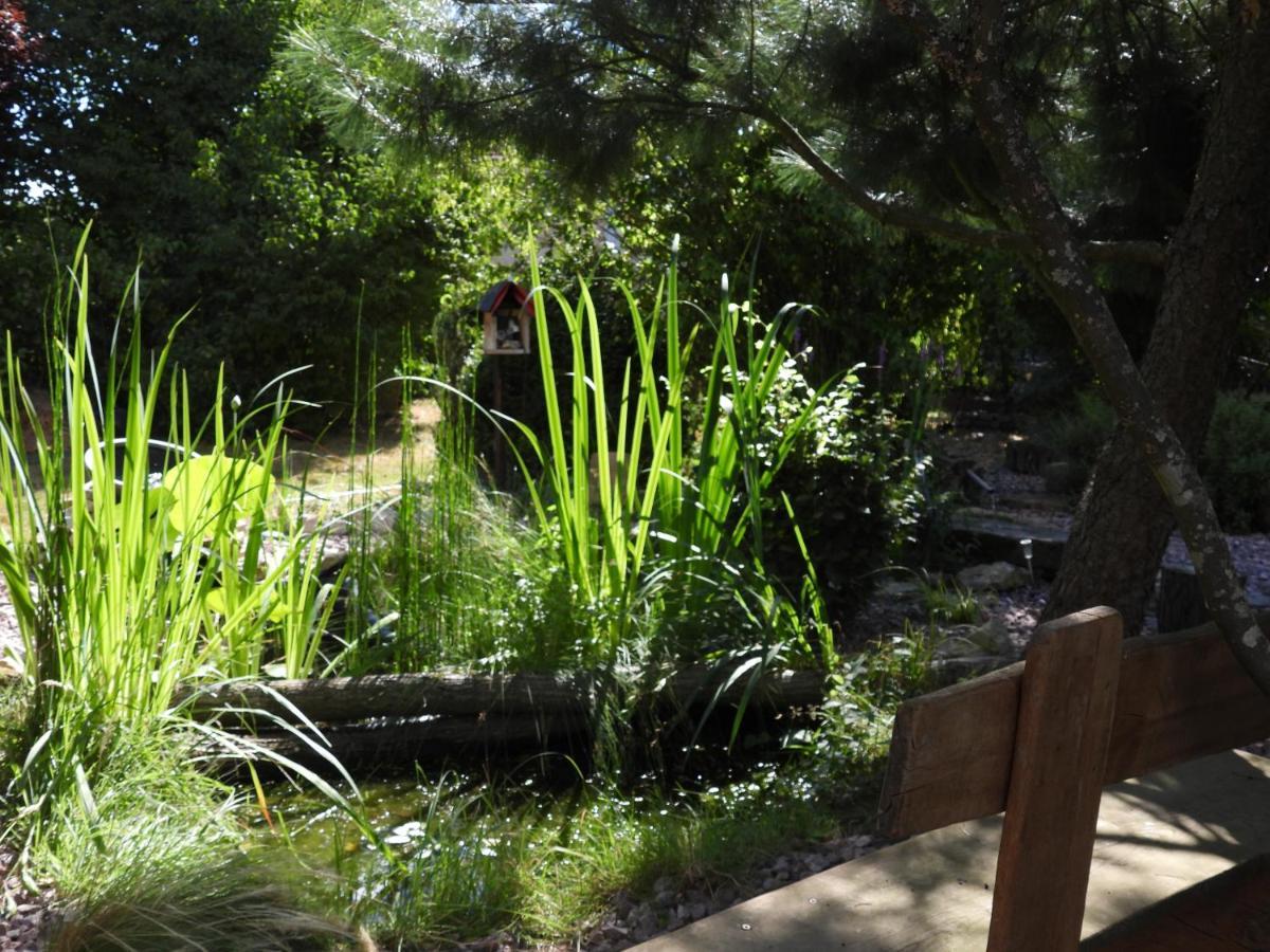 La Suite Melusine - Spa Du Souffle Du Saule Buhl-Lorraine エクステリア 写真