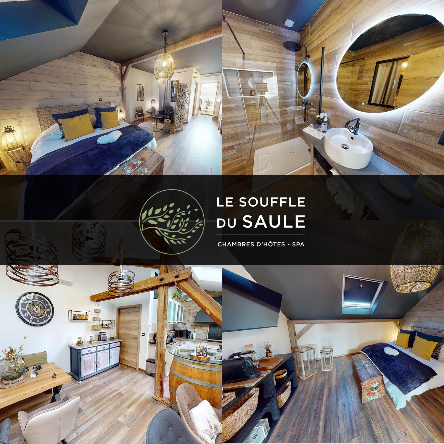 La Suite Melusine - Spa Du Souffle Du Saule Buhl-Lorraine エクステリア 写真